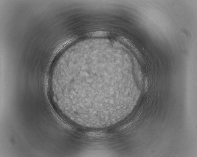 X0000115440725200912161454