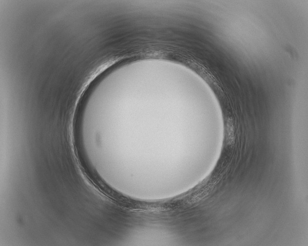 X0000115440726200912161454
