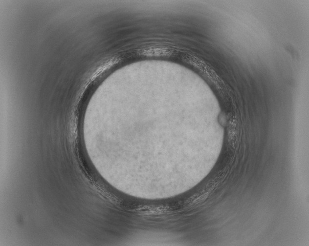 X0000115440727200912161454