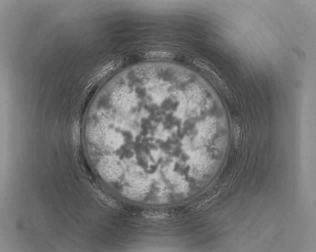 X0000115440729200912161454