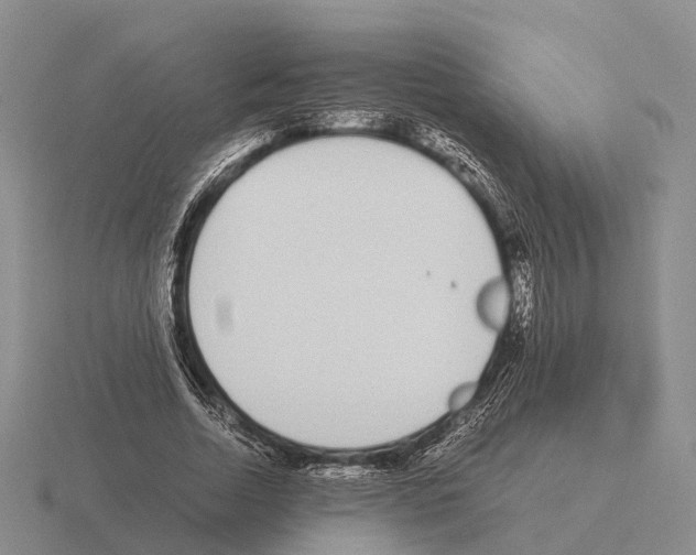 X0000115440730200912161454