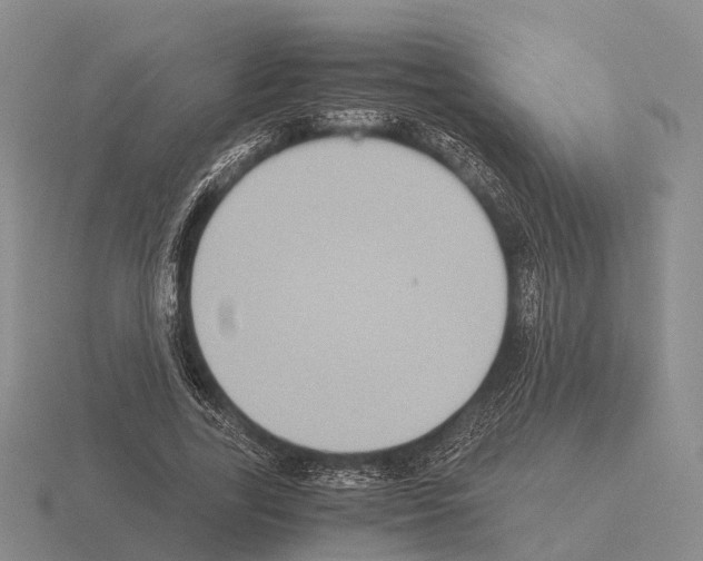 X0000115440731200912161454