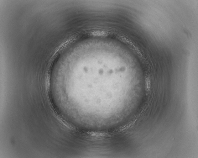 X0000115440733200912161454