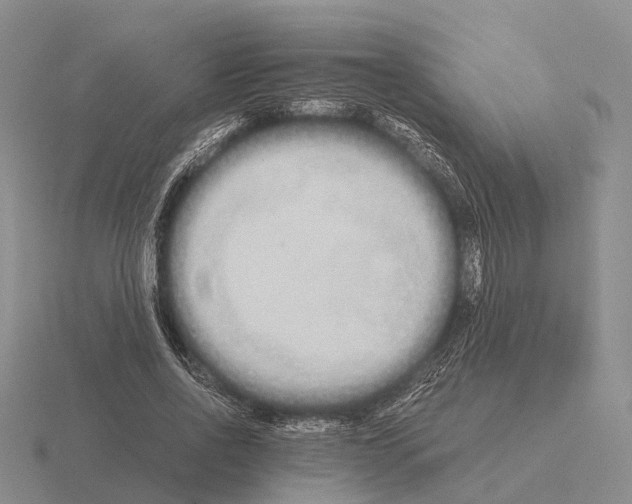 X0000115440734200912161454