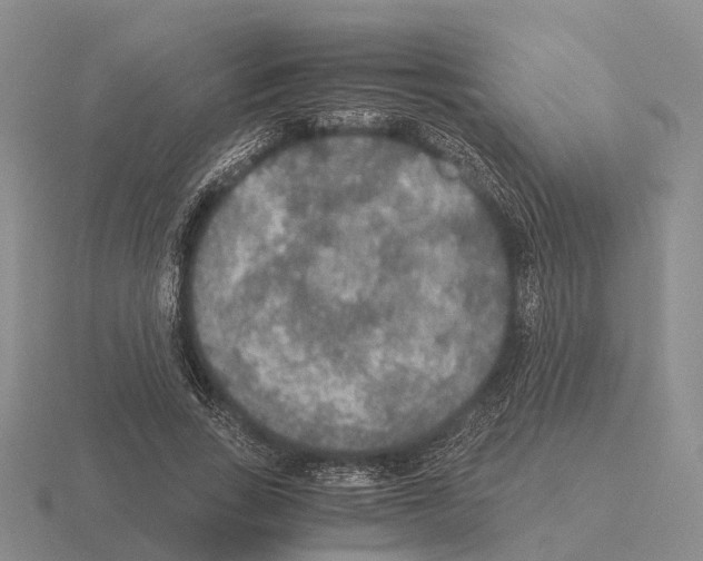 X0000115440735200912161454