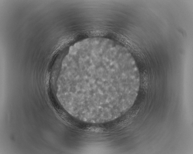 X0000115440742200912161454