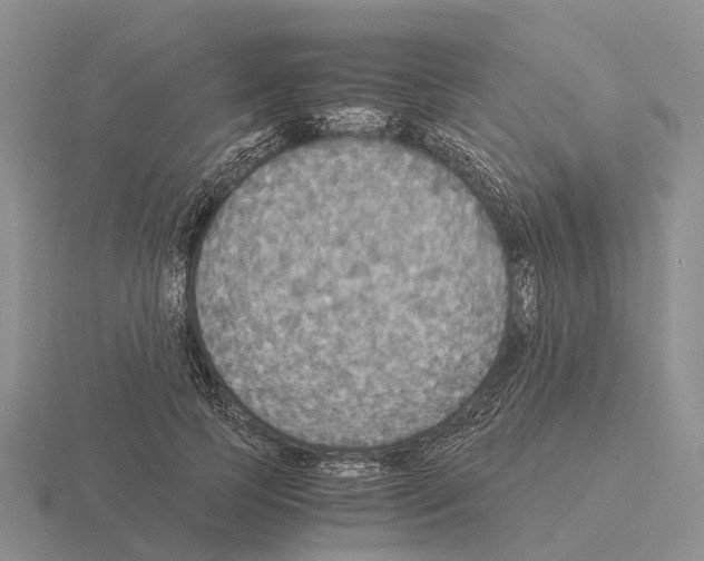 X0000115440745200912161454