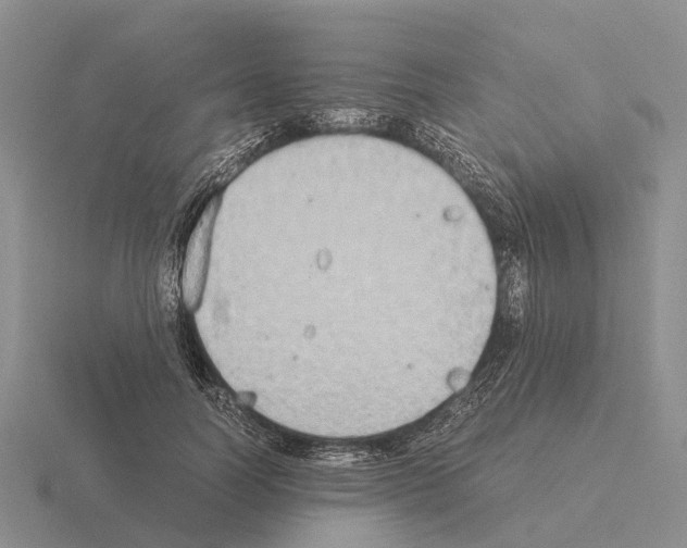 X0000115440746200912161454