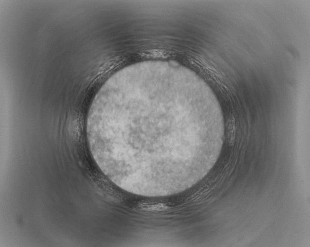 X0000115440747200912161454