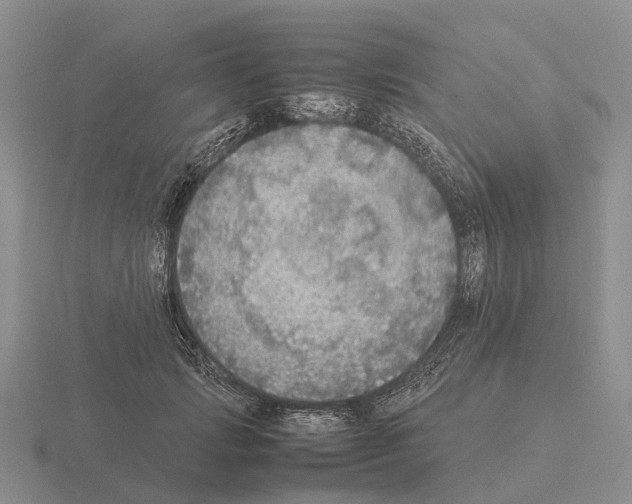 X0000115440749200912161454
