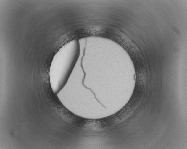 X0000115440750200912161454