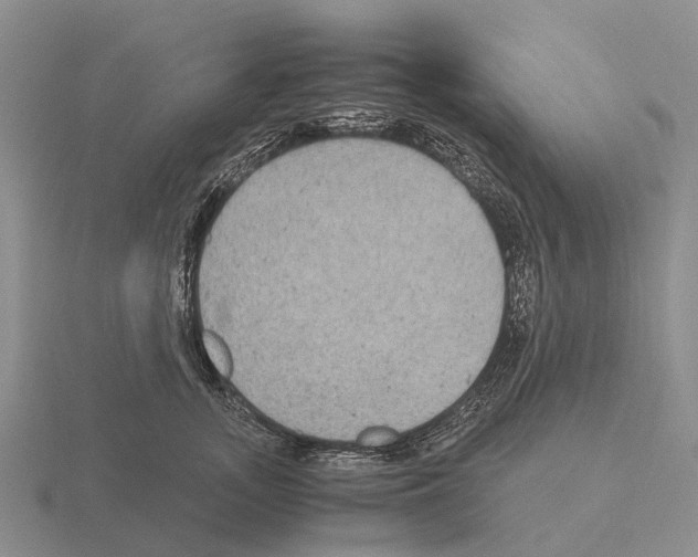 X0000115440755200912161454