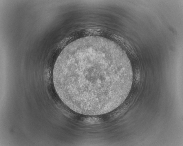 X0000115440759200912161454