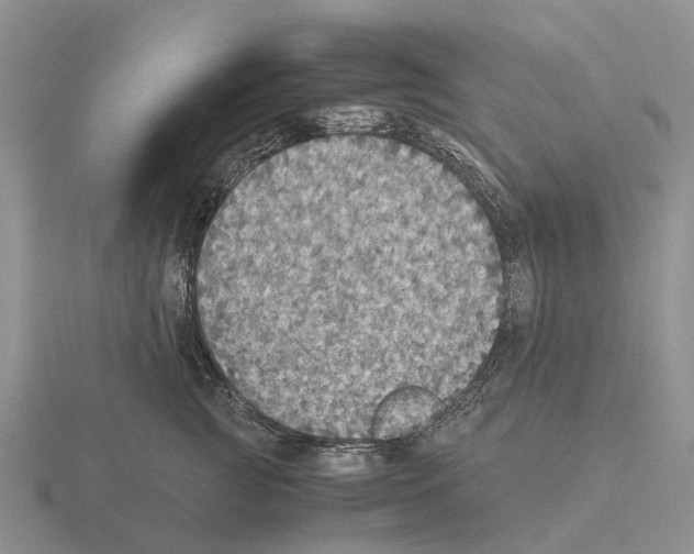 X0000115440761200912161454