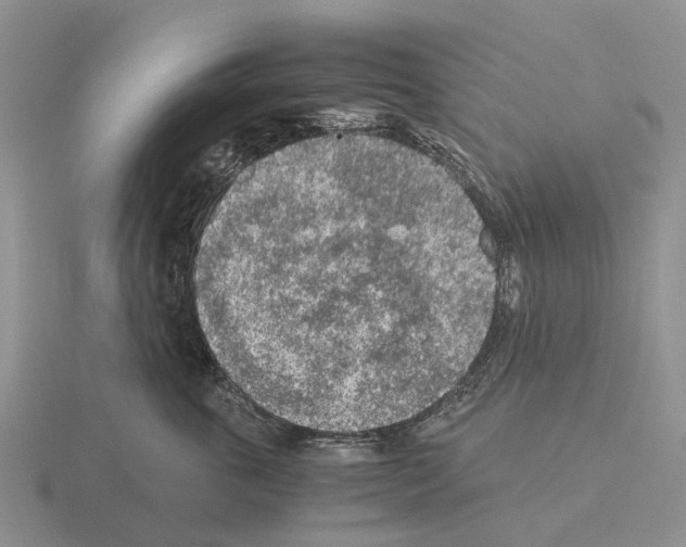 X0000115440763200912161454