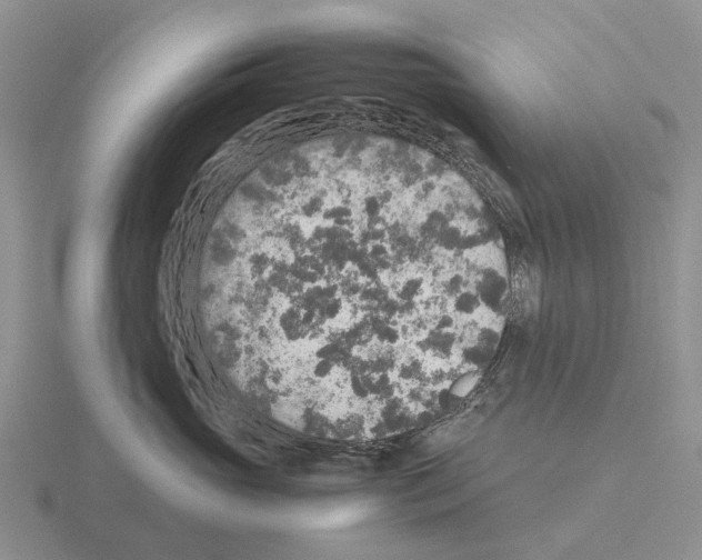 X0000115440765200912161454