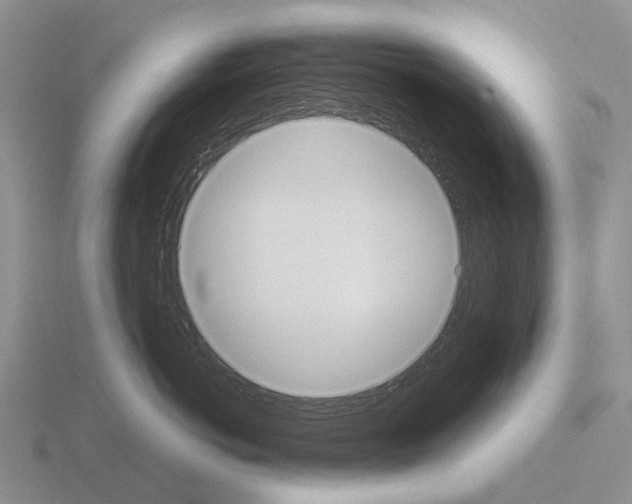 X0000115440766200912161454