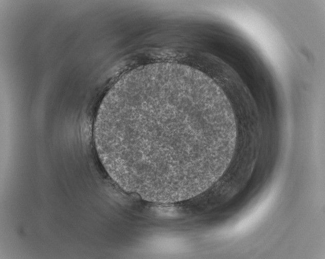 X0000115440767200912161454