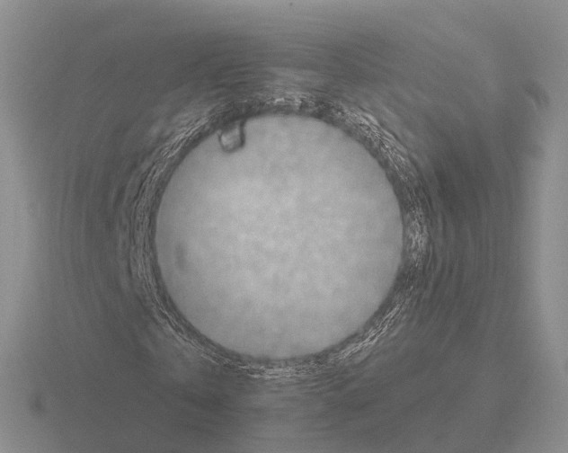 X0000115440769200912161454