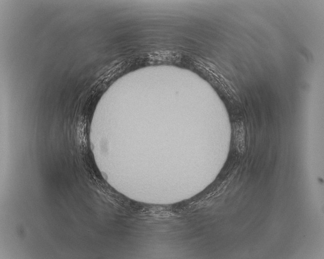 X0000115440770200912161454