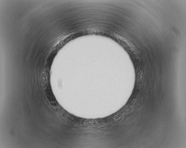 X0000115440776200912161453