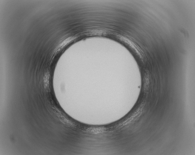 X0000115440778200912161453