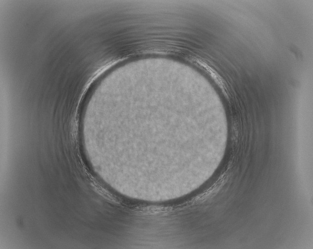 X0000115440779200912161453