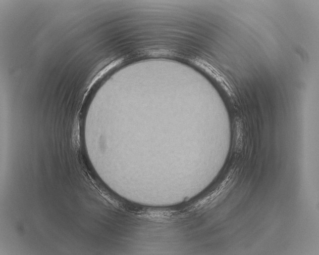 X0000115440782200912161453