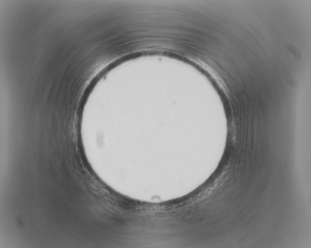 X0000115440783200912161453