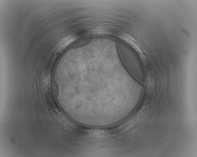 X0000115440785200912161453