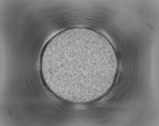 X0000115440787200912161453