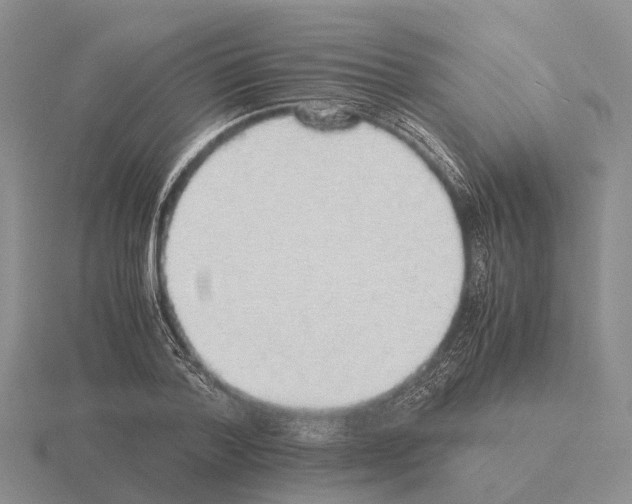 X0000115440788200912161453