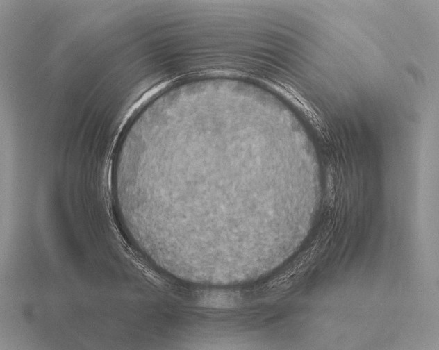 X0000115440790200912161453