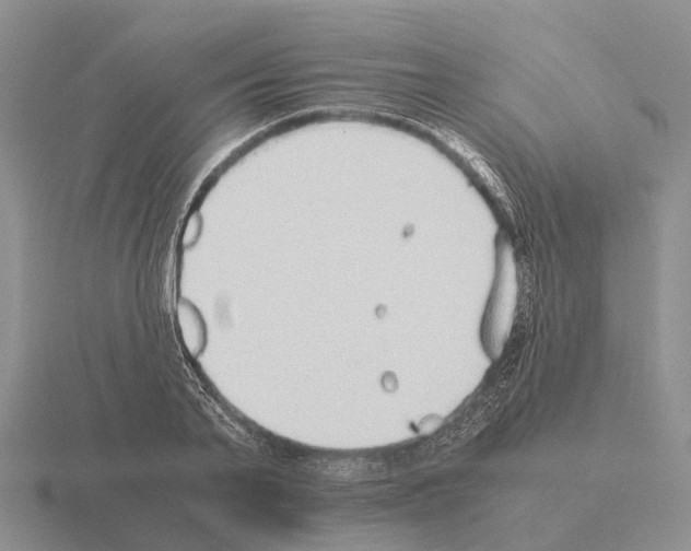 X0000115440791200912161453