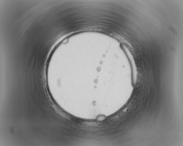 X0000115440792200912161453