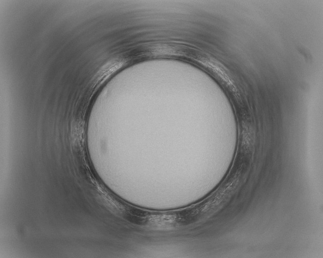 X0000115440793200912161453