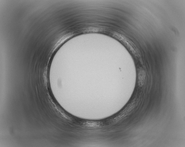 X0000115440794200912161453