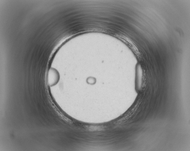 X0000115440796200912161453