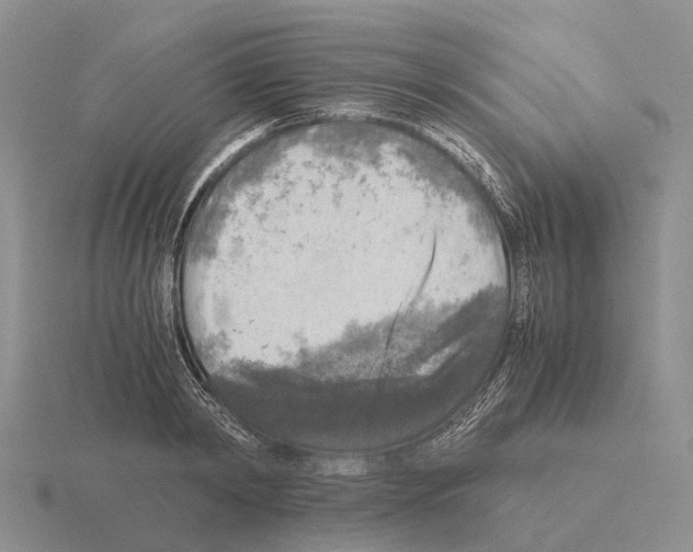 X0000115440798200912161453