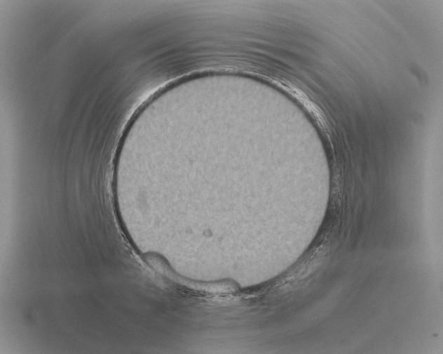 X0000115440799200912161453