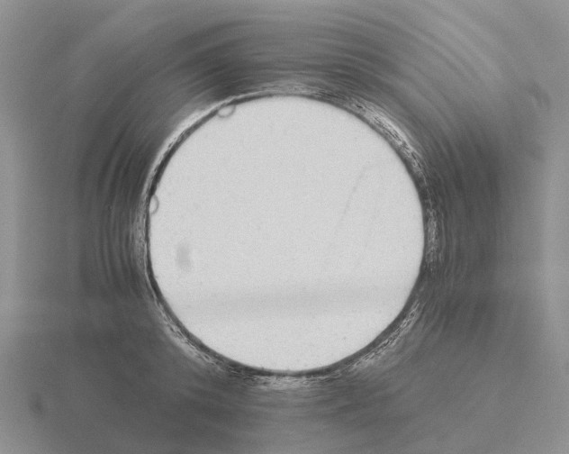 X0000115440800200912161453