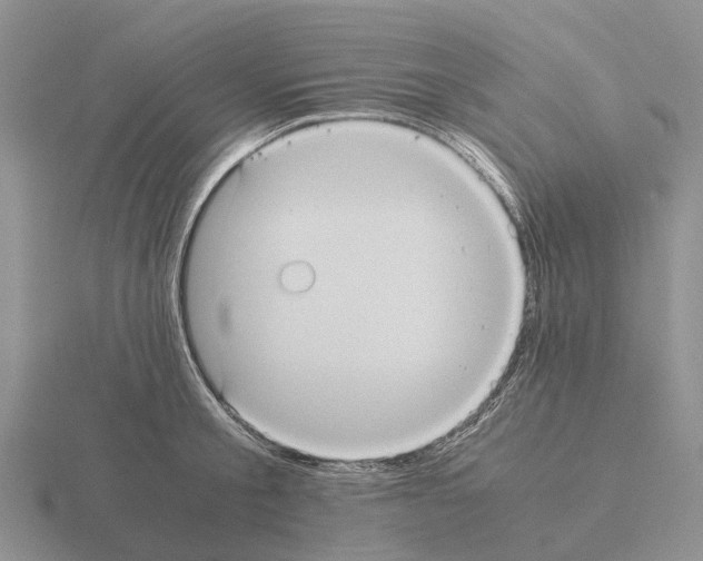 X0000115440805200912161453