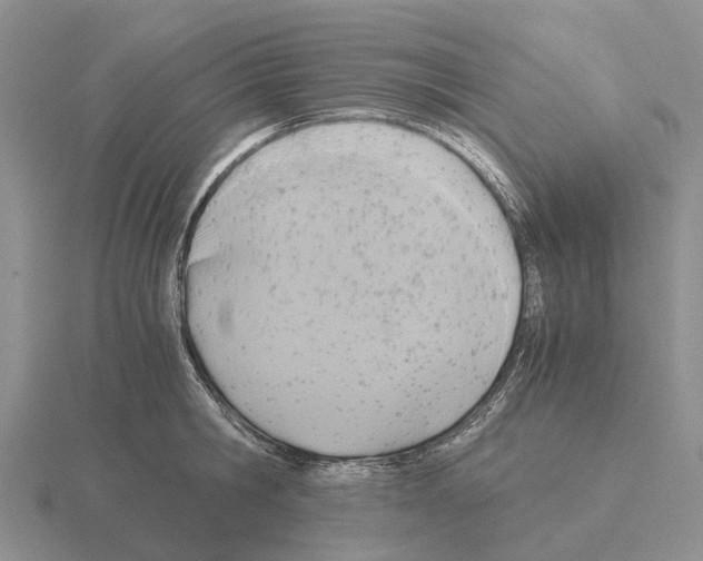 X0000115440806200912161453