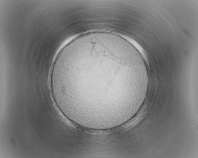 X0000115440807200912161453