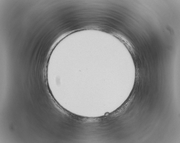 X0000115440808200912161453