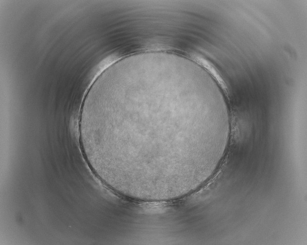 X0000115440810200912161453