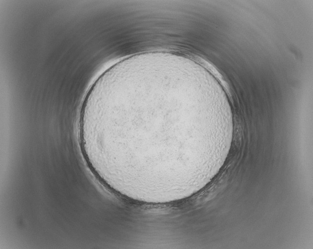 X0000115440811200912161453