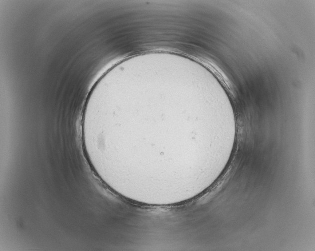 X0000115440814200912161453