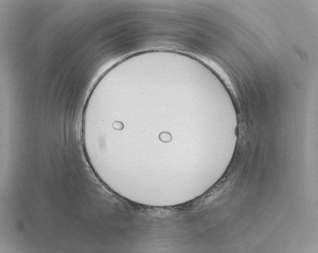 X0000115440815200912161453