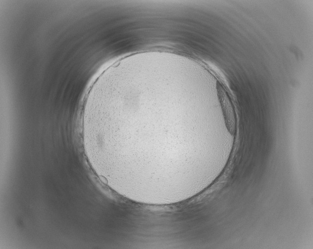 X0000115440816200912161453